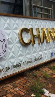 Giới thiệu